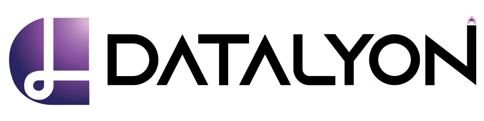 datalyon logo